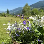 Berghaus Seeblick - Feld Am *