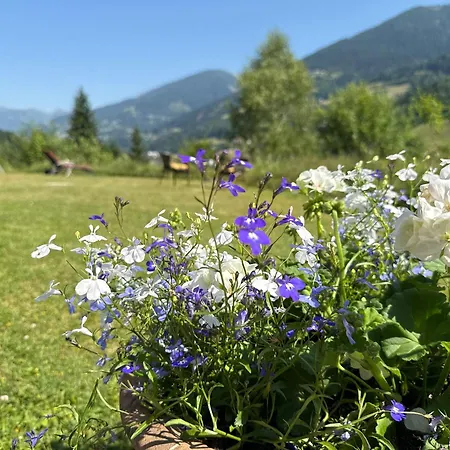 Berghaus Seeblick - Feld Am *