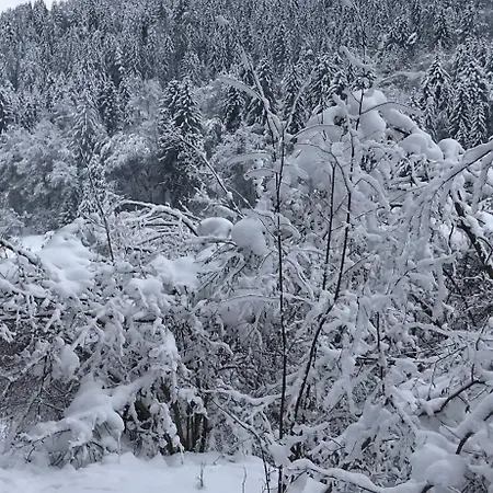 Berghaus Seeblick - Feld Am Erlach (Villach)