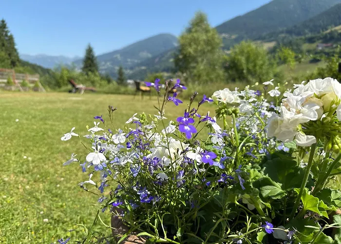 Berghaus Seeblick - Feld Am *
